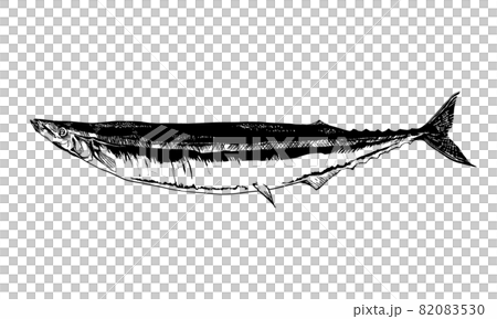 秋刀魚のイラスト 82083530