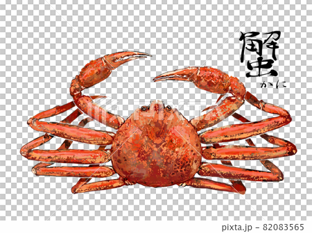 ずわい蟹のイラスト 82083565