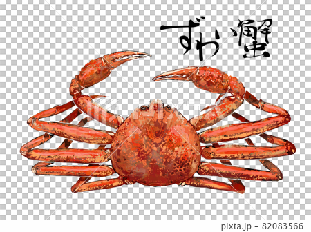ずわい蟹のイラスト 82083566