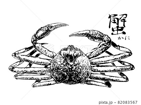 ずわい蟹のイラスト 82083567