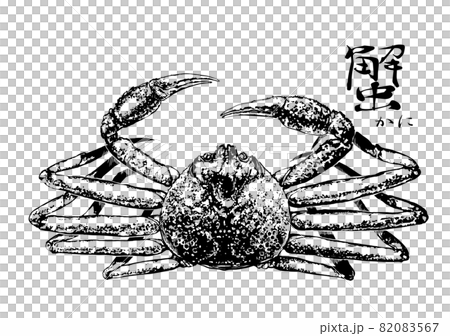ずわい蟹のイラスト 82083567