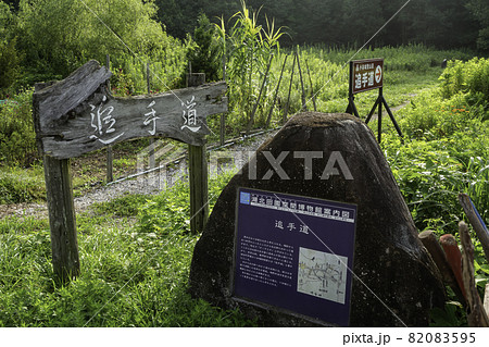 小谷城跡 清水谷 追手道 滋賀県長浜市 小谷城跡 清水谷 追手道 滋賀県長浜市 82083595