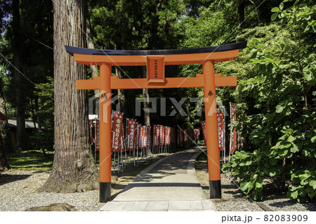 多賀大社　金咲稲荷神社　滋賀県犬上郡多賀町 82083909