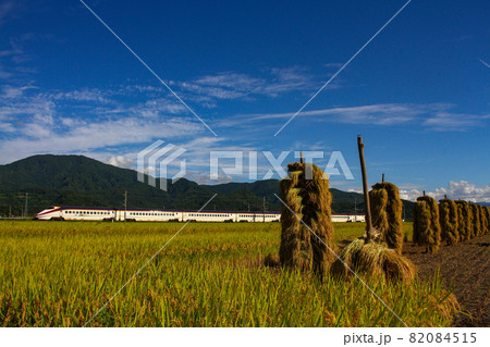 夏空とれいゆつばさ 夏空とれいゆつばさ 82084515