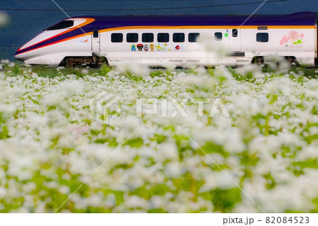 そば畑と山形新幹線 82084523