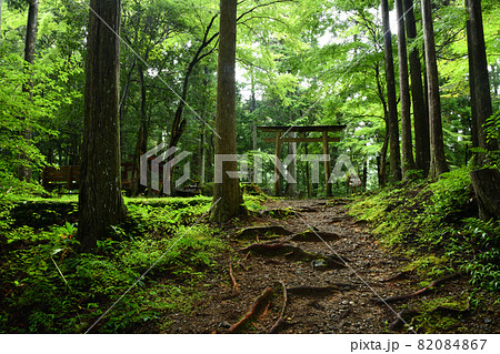 熊野古道(発心門王子)  【和歌山県田辺市本宮町】 82084867