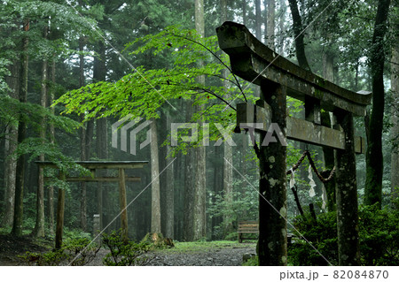熊野古道(発心門王子)  【和歌山県田辺市本宮町】 82084870