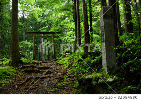 熊野古道(発心門王子)  【和歌山県田辺市本宮町】 82084880