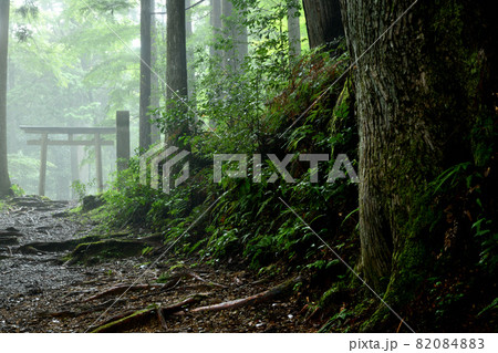 熊野古道(発心門王子) 【和歌山県田辺市本宮町】 熊野古道(発心門王子) 【和歌山県田辺市本宮町】 82084883