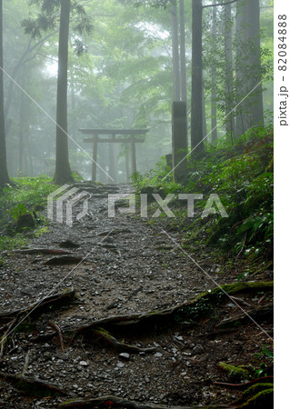 熊野古道(発心門王子)  【和歌山県田辺市本宮町】 82084888