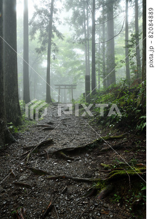 熊野古道(発心門王子) 【和歌山県田辺市本宮町】 熊野古道(発心門王子) 【和歌山県田辺市本宮町】 82084889