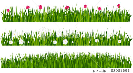 Vector green Grass borders set on white background. 82085691