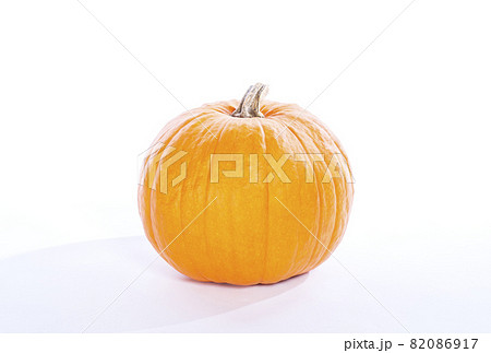 ハロウィンかぼちゃ アトランティックジャイアント ジャンボ南瓜 ジャンボパプキン オレンジ色のカボチ ハロウィンかぼちゃ アトランティックジャイアント ジャンボ南瓜 ジャンボパプキン オレンジ色のカボチ 82086917