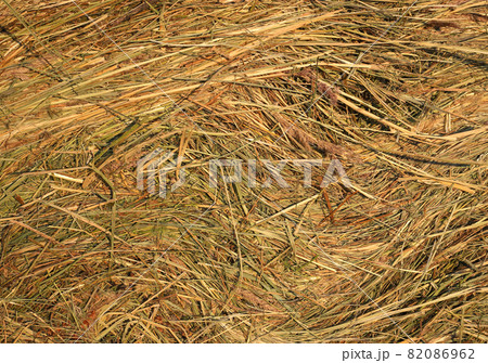Close up of hay natural texture Close up of hay natural texture 82086962