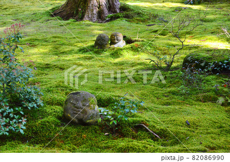 新緑の京都大原三千院の苔むす庭園に住むわらべ地蔵達がかわいい 新緑の京都大原三千院の苔むす庭園に住むわらべ地蔵達がかわいい 82086990