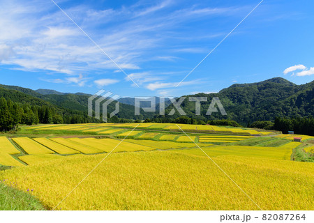 天空の棚田 天空の棚田 82087264