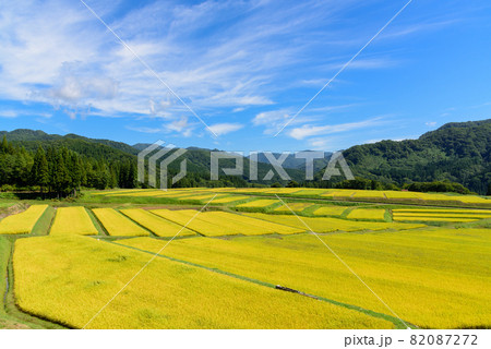 天空の棚田 天空の棚田 82087272