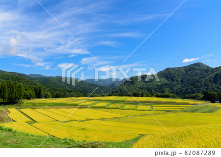 天空の棚田 天空の棚田 82087289