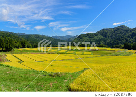 天空の棚田 天空の棚田 82087290