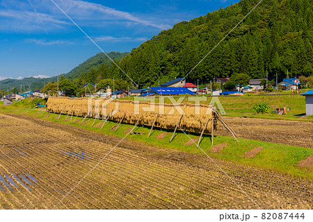 稲架掛け風景 82087444
