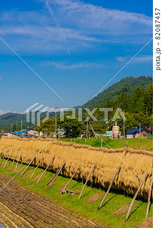 稲架掛け風景 稲架掛け風景 82087457