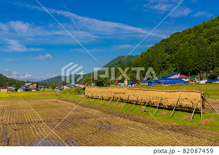 稲架掛け風景 82087459