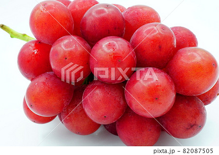 ルビーロマン 82087505