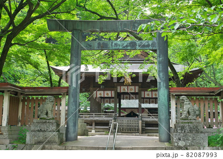 金崎宮　敦賀　福井 82087993