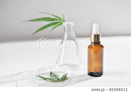 amber glass bottle with dropper and hemp leaves in petri dish and in laboratory glassware. cannabis oil using in dermatology and cosmetology. essential cannabis oil for skin care. amber glass bottle with dropper and hemp leaves in petri dish and in laboratory glassware. cannabis oil using in dermatology and cosmetology. essential cannabis oil for skin care. 82088012