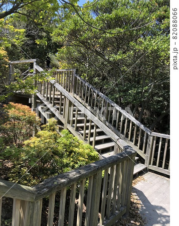 《うさぎの島(大久野島)自然学習歩道(自然の小径・ウォーキングコース)》(広島県 竹原市) 《うさぎの島(大久野島)自然学習歩道(自然の小径・ウォーキングコース)》(広島県 竹原市) 82088066