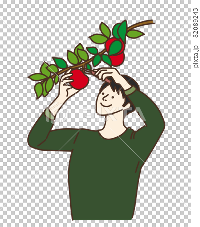 収穫 フルーツ狩り りんご りんご狩りのイラスト素材 0243