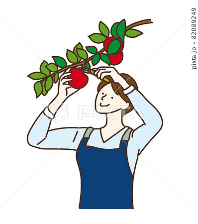 収穫 フルーツ狩り 農業女子 りんご 収穫 フルーツ狩り 農業女子 りんご 82089249