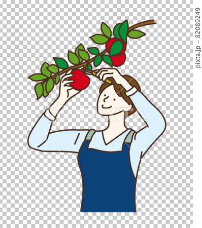 収穫 フルーツ狩り 農業女子 りんご 収穫 フルーツ狩り 農業女子 りんご 82089249