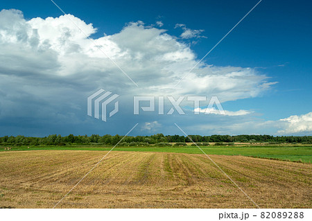 Stubble and a large cloud on the blue sky Stubble and a large cloud on the blue sky 82089288