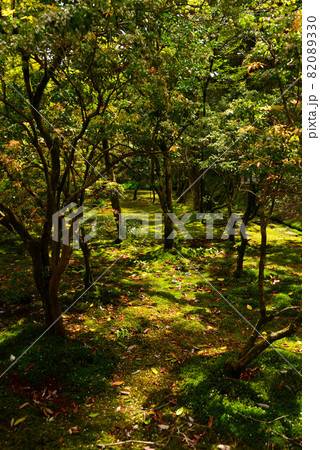 那谷寺の風景 那谷寺の風景 82089330