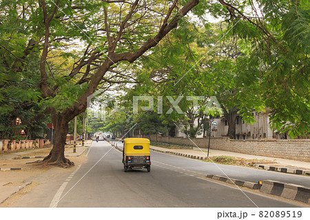 インド_牛とトゥトゥクのある風景 82089519