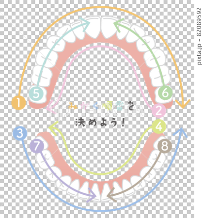 歯を磨く順番　永久歯 82089592