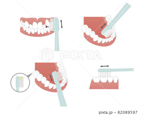 歯の部分別 歯ブラシのあて方のイラスト素材 0597