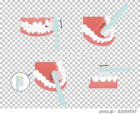 歯の部分別　歯ブラシのあて方 82089597