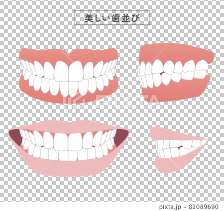 Beautiful dentition set illustration 82089690