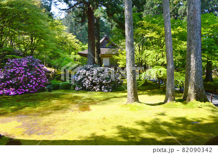 新緑の京都大原三千院で有清園より往生極楽院を眺める 82090342
