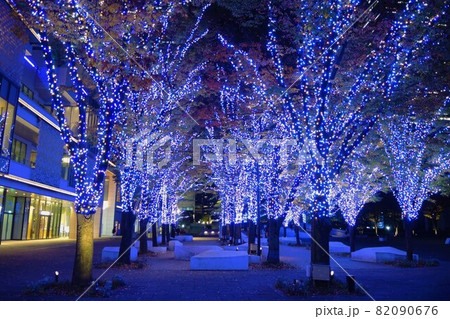 【横浜】みなとみらい「ヨコハマミライト」イルミネーション 【横浜】みなとみらい「ヨコハマミライト」イルミネーション 82090676