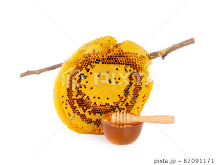 Sweet honeycomb isolated on white, bee products by organic natural Sweet honeycomb isolated on white, bee products by organic natural 82091171