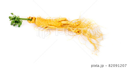 Ginseng roots on a white background Ginseng roots on a white background 82091207