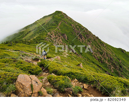尾瀬・至仏山より望む小至仏山 尾瀬・至仏山より望む小至仏山 82092349