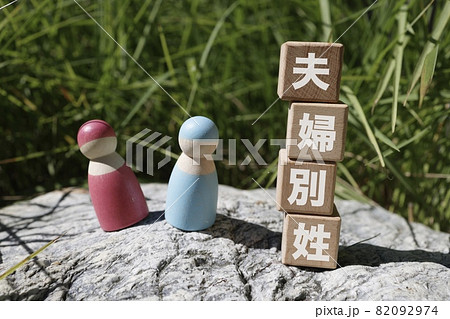 選択的夫婦別氏制度 82092974