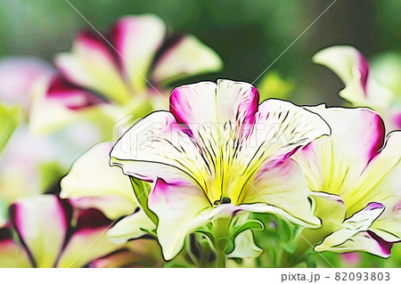 パステル調　”ペチニアの花”　イラストイメージ 82093803