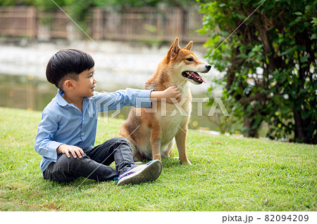 Asian male kid sitting and playing together with Shiba inu dog in public park Asian male kid sitting and playing together with Shiba inu dog in public park 82094209