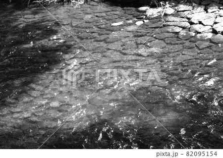 モノクロ 川岸 水 水面 水辺 (2021年9月登録) モノクロ 川岸 水 水面 水辺 (2021年9月登録) 82095154