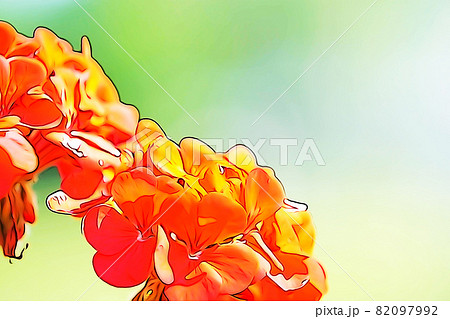パステル調 ”ゼラニュームの花” イラストイメージ パステル調 ”ゼラニュームの花” イラストイメージ 82097992